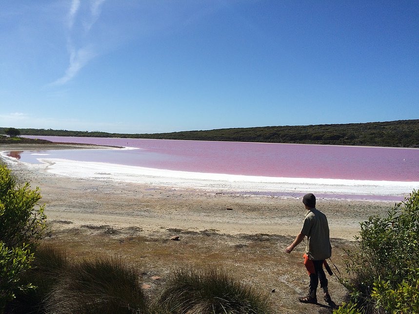 pink lake location